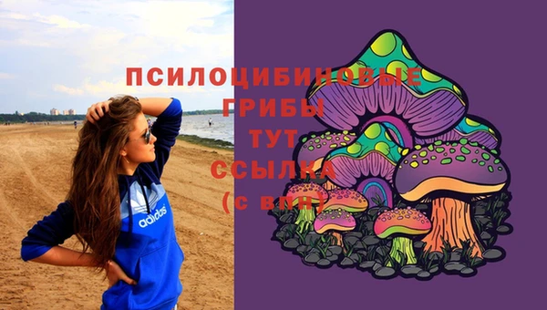 a pvp Осинники