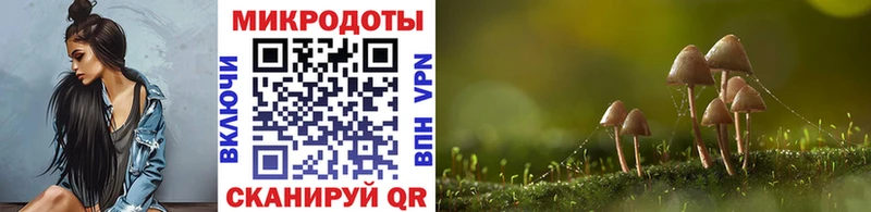 Купить Ейск Галлюциногенные грибы Magic Shrooms